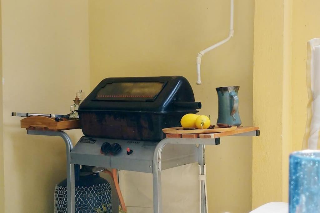 Apartment Garden With Bbq In The Athenian Riviera *
