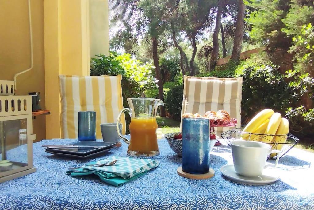 Garden With Bbq In The Athenian Riviera * Athen
