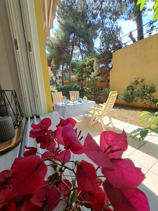 Garden With Bbq In The Athenian Riviera * Athen